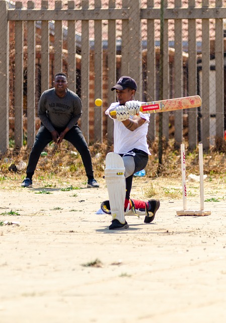 Cricket’s Role in Boosting Local Businesses: Case Studies and Best Practices