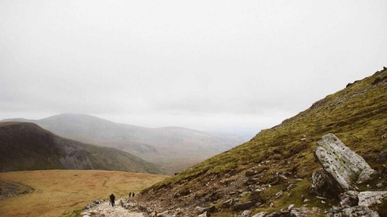 What Types Of Casino Games Does Cricbet99 Offer?